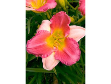 102,1���. �������� ����� ���(�������� ���� �� 1 ��., ����������� ����� 1��.)���16.jpg