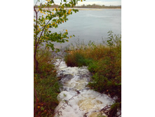 IMG 20151001 133256.jpg