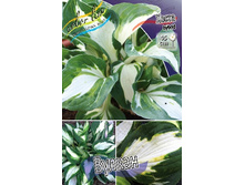 130,3���. ����� ������(�������� ���� �� 1 ��., ����������� ����� 1��.).jpg