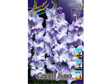 8,91���. ��������� ���� ���(���������� ������ ������ ���������� �� 8 ��.).jpg