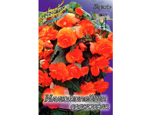 60,77���. ������� ����������� ���������(�������� ���� �� 3 ��., ����������� ����� 1��.).jpg