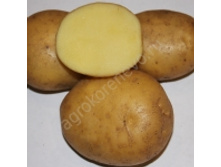 ��������� ������ 64���. �� 1��.jpg