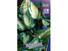 105,4���. ����� ���������(�������� ���� �� 1 ��., ����������� ����� 1��.).jpg