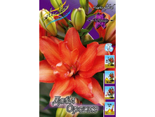 50,36���. ����� ���� �����(�������� ���� �� 5 ��., ����������� ����� 1��.).jpg