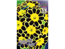 133,6���. ������� ���� ���� ����(�������� ���� �� 1 ��., ����������� ����� 1��.).jpg