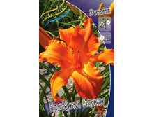 246,4���. �������� ������� �����(�������� ���� �� 1 ��., ����������� ����� 1��.).jpg