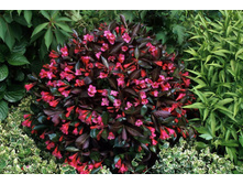 ������� ����������-207.jpg