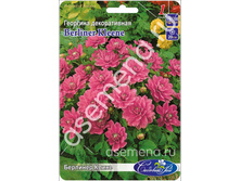 �������� �����.jpg