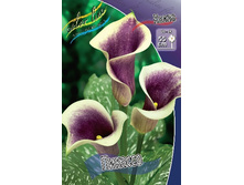 71,75���. ����� �������(�������� ���� �� 2 ��., ����������� ����� 1��.).jpg