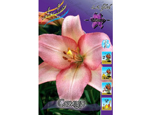 20,17���. ����� �����(�������� ���� �� 7 ��., ����������� ����� 1��.).jpg