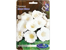 ���� �����.jpg