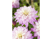 83,9���. �������� ��������(�������� ���� �� 1 ��., ����������� ����� 1��.)���15.jpg