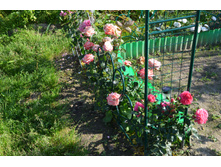 ������� (6).JPG