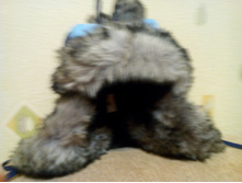 IMG 20151011 182723.jpg