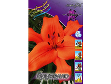 21,84���. ����� ��������(�������� ���� �� 5 ��., ����������� ����� 1��.).jpg