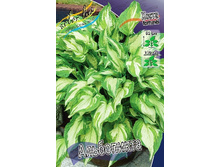 53,5���. ����� ����������(�������� ���� �� 2 ��., ����������� ����� 1��.).jpg