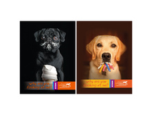 ������-������� �6 64�. ���� Loose Leashes, ��������� ��������� 27,50.jpg