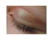 �����-�������� �������-chameleon-green2.jpg