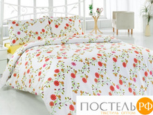 Classi alt29245=1481�.jpg