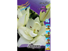 46,04���. ����� �����(�������� ���� �� 5 ��., ����������� ����� 1��.).jpg