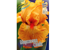 95,3���. ���� ���������� �������� �����(�������� ���� �� 2 ��., ����������� ����� 1��.).jpg