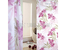 ����� ����� 77661.jpg