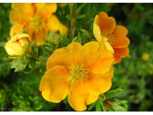 �������� ��������-122.jpg