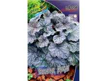 188,3���. ������� ������ ����(�������� ���� �� 1 ��., ����������� ����� 1��.).jpg