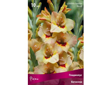 ��������� ������� �������.jpg