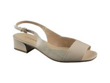 343-01-PK-03-KK ���� 2750 �.