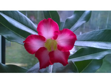 WP 20151013 11 39 03 Pro.jpg