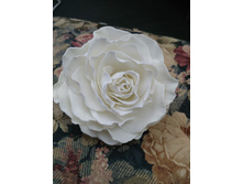 ���� �� �������