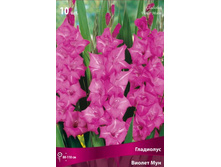 ��������� ������ ���.jpg