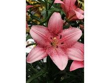 32,2���. ����� ��������(�������� ���� �� 5 ��., ����������� ����� 1��.)���15.jpg