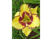 221,5���. �������� ���� �������(�������� ���� �� 1 ��., ����������� ����� 1��.)���16.jpg