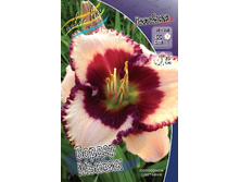 196,6���. �������� ������ ������(�������� ���� �� 1 ��., ����������� ����� 1��.).jpg