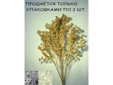 11/0014� ����� ��