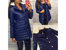 ���������� ������ CHL � ������� ������� ���-����� 583- 1700 ���.