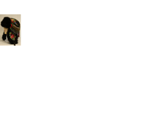 ����������3.png