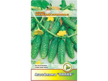 ������ ��������� �������� F1 ������	0,3	8,00 ���.