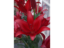 21,9���. ����� ������(�������� ���� �� 7 ��., ����������� ����� 1��.)���16.jpg