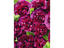 125,3���. ������ ���������(�������� ���� �� 1 ��., ����������� ����� 1��.).jpg