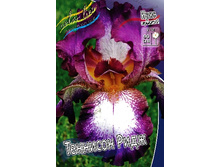 95,3���. ���� ���������� �������� ����(�������� ���� �� 2 ��., ����������� ����� 1��.).jpg