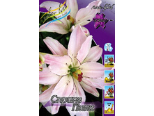 45,18���. ����� ������ ����(�������� ���� �� 5 ��., ����������� ����� 1��.).jpg