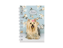 �������� ������ �7 40�. �� ������ �������. Sweet pets 7,32.jpg