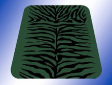 ������� �����, 8027-3.jpg