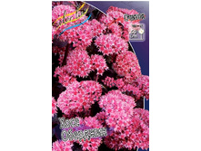 153,5���. ������ ���� ��������(�������� ���� �� 1 ��., ����������� ����� 1��.).jpg