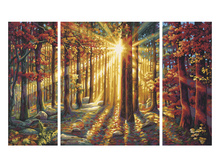 9260688 ������� ������� ���, ���� 2179 ���.jpg