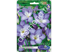 ������� ��������.jpg