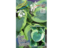 163,4���. ����� ���� ����� �������(�������� ���� �� 1 ��., ����������� ����� 1��.).jpg